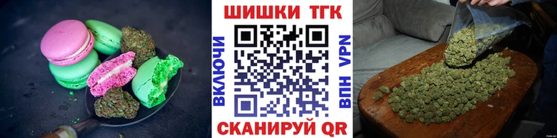где купить наркоту  Светлогорск  Cannafood марихуана 
