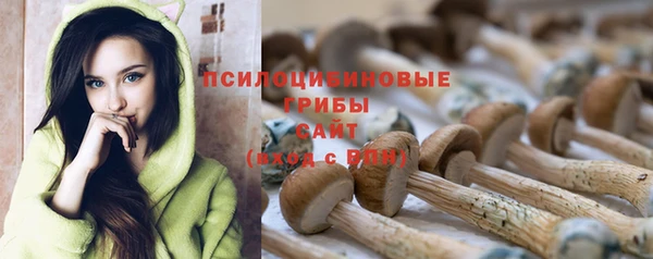 синтетический гашиш Зеленодольск