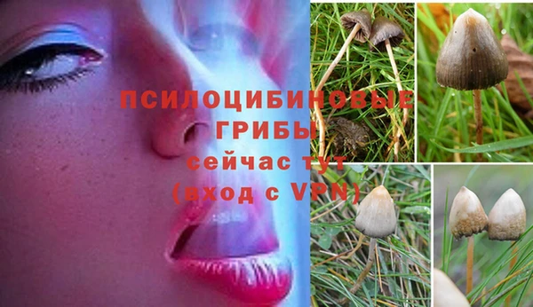 MDMA Зеленокумск