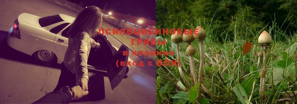 прущая мука Зерноград