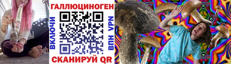 цены   Светлогорск  Галлюциногенные грибы мухоморы 